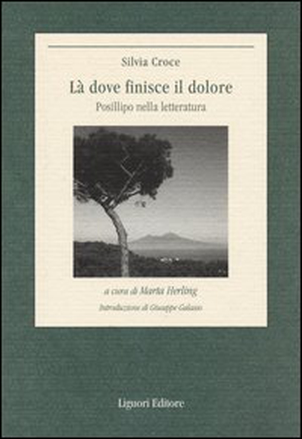 Là dove finisce il dolore. Posillipo nella letteratura - Librerie.coop Là dove finisce il dolore. Posillipo nella letteratura - Librerie.coop