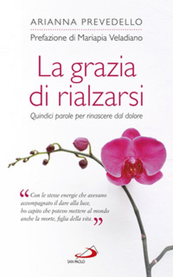 La grazia di rialzarsi. Quindici parole per rinascere dal dolore - Librerie.coop La grazia di rialzarsi. Quindici parole per rinascere dal dolore - Librerie.coop