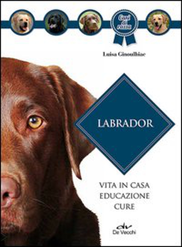 Labrador - Librerie.coop Labrador - Librerie.coop