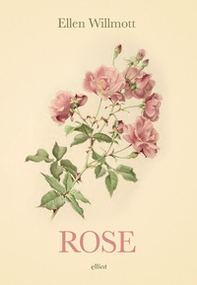 Rose - Librerie.coop