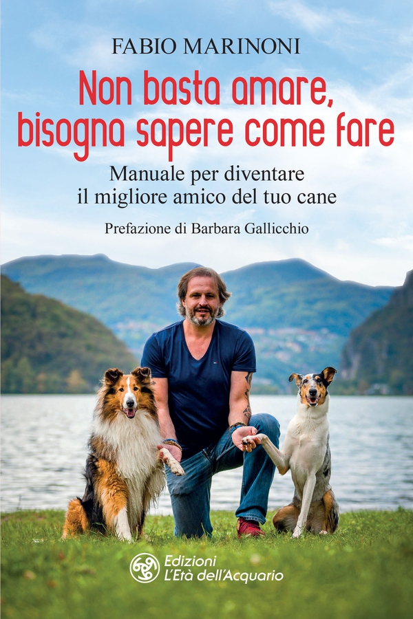 Non basta amare, bisogna sapere come fare - Librerie.coop Non basta amare, bisogna sapere come fare - Librerie.coop