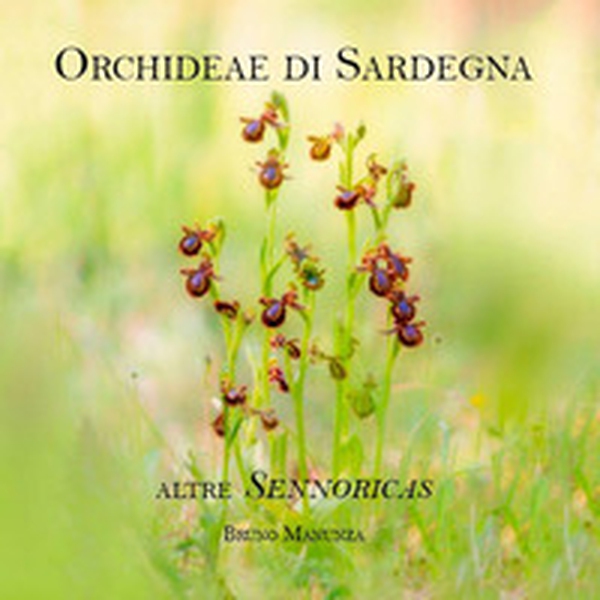 Orchideae di Sardegna. Altre Sennoricas - Librerie.coop Orchideae di Sardegna. Altre Sennoricas - Librerie.coop