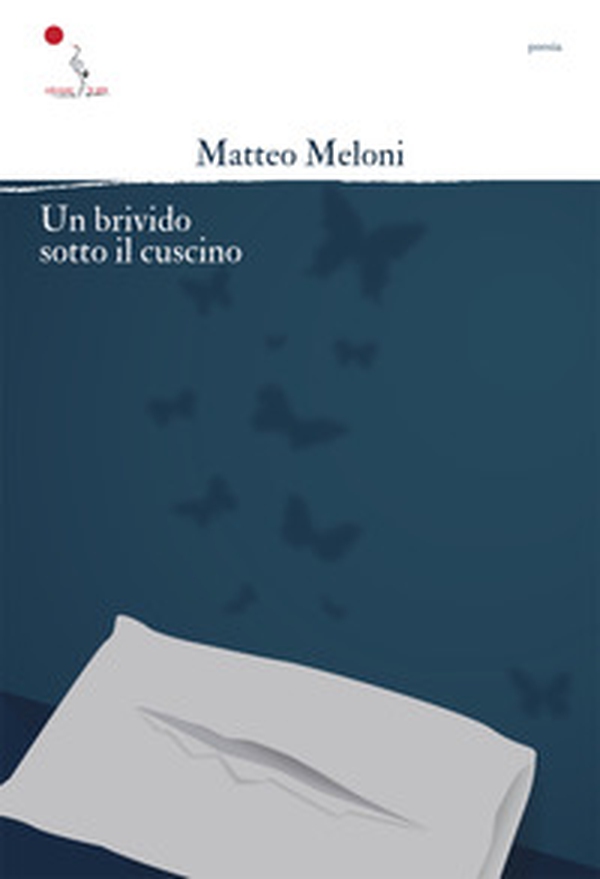 Un brivido sotto il cuscino - Librerie.coop Un brivido sotto il cuscino - Librerie.coop