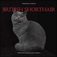 British shorthair - Librerie.coop
