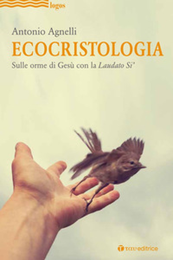 Ecocristologia. Sulle orme di Gesù con la Laudato si' - Librerie.coop Ecocristologia. Sulle orme di Gesù con la Laudato si' - Librerie.coop