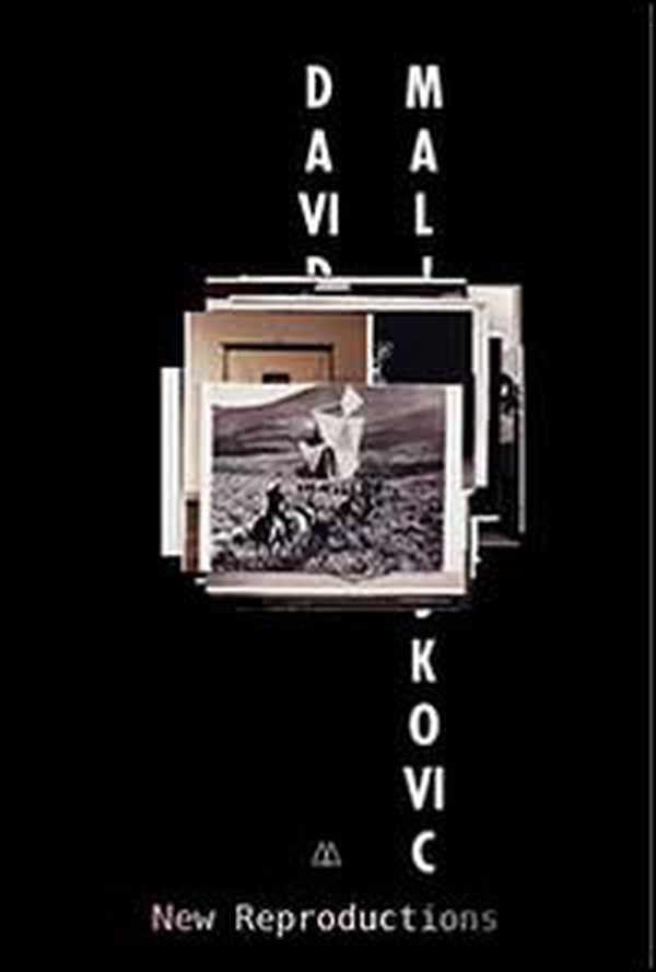 David Maljkovic. New reproductions - Librerie.coop David Maljkovic. New reproductions - Librerie.coop