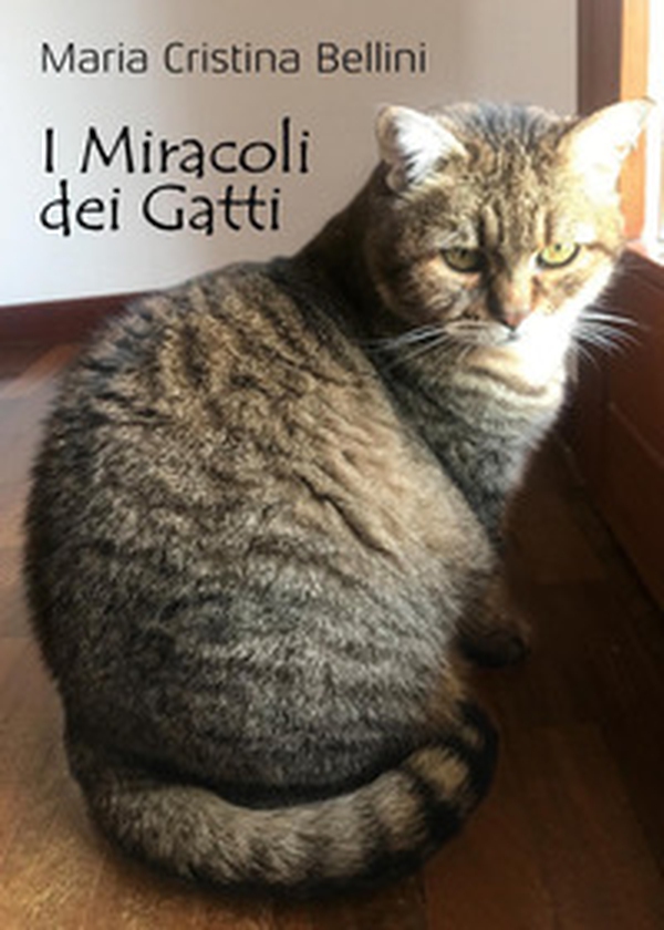 I miracoli dei gatti - Librerie.coop I miracoli dei gatti - Librerie.coop