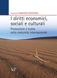 I diritti economici, sociali e culturali. Promozione e tutela nella comunità internazionale - Librerie.coop