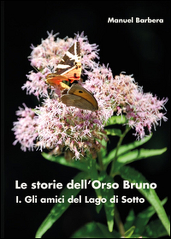 Gli amici del lago di sotto. Le storie dell'orso bruno - Librerie.coop Gli amici del lago di sotto. Le storie dell'orso bruno - Librerie.coop