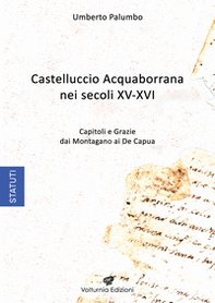 Castelluccio Acquaborrana Nei secoli XV-XVI. Capitoli e grazie dei Montagano e De Capua - Librerie.coop