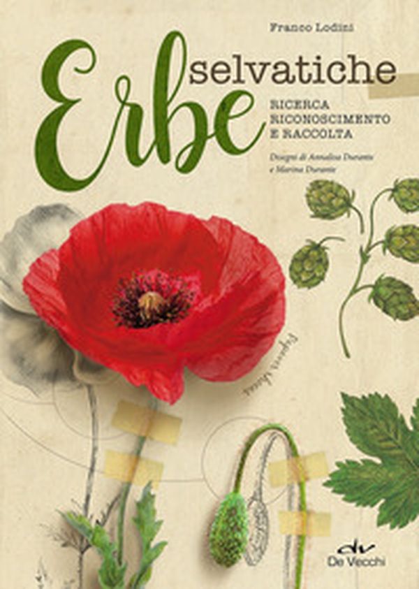 Erbe selvatiche. Ricerca, riconoscimento e raccolta - Librerie.coop Erbe selvatiche. Ricerca, riconoscimento e raccolta - Librerie.coop