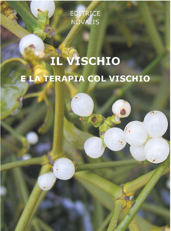 Il vischio e la terapia col vischio - Librerie.coop Il vischio e la terapia col vischio - Librerie.coop