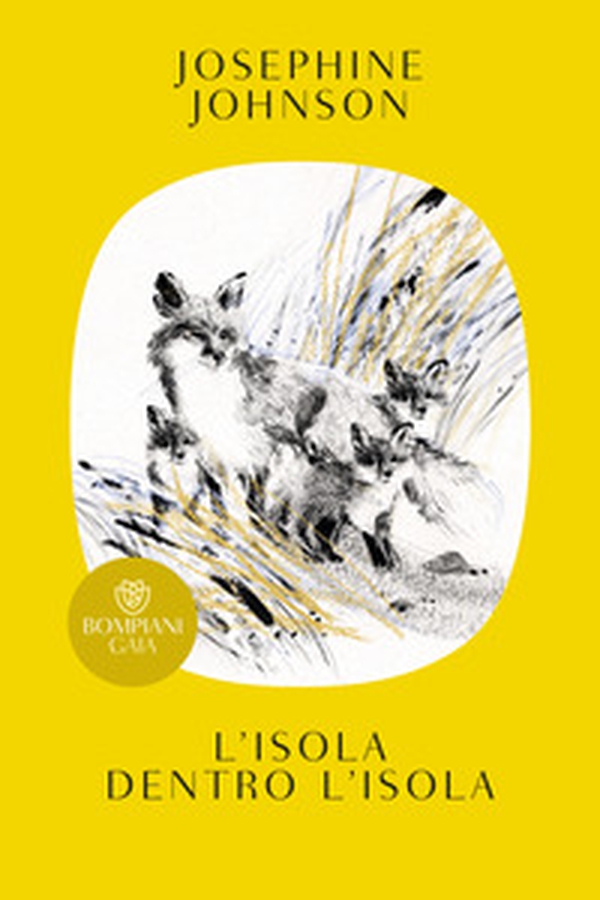 L'isola dentro l'isola - Librerie.coop L'isola dentro l'isola - Librerie.coop
