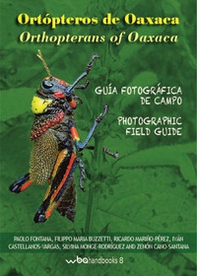 Ortopteros de Oaxaca. Fotografica de campo-Orthopterans of Oaxaca. Photographic field guide - Librerie.coop