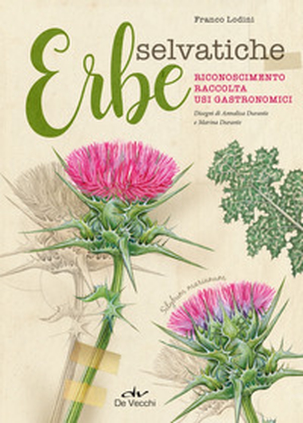 Erbe selvatiche. Riconoscimento. Raccolta. Usi gastronomici - Librerie.coop Erbe selvatiche. Riconoscimento. Raccolta. Usi gastronomici - Librerie.coop