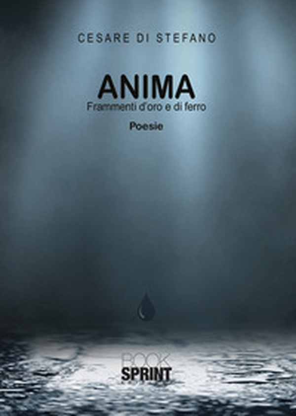 Anima. Frammenti d'oro e di ferro - Librerie.coop Anima. Frammenti d'oro e di ferro - Librerie.coop