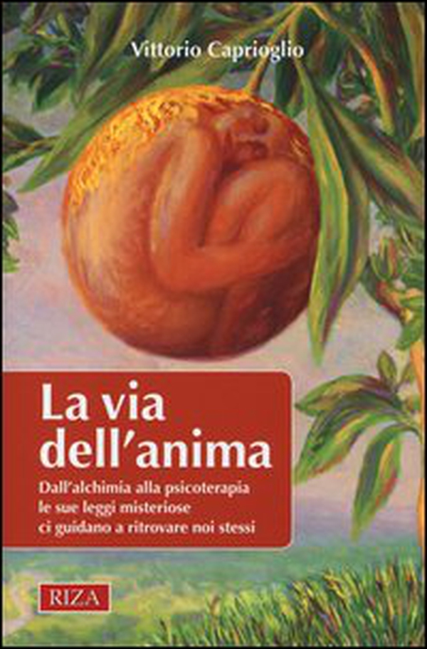 La via dell'anima. Dall'alchimia alla psicoterapia le sue leggi misteriose ci guidano a ritrovare noi stessi - Librerie.coop La via dell'anima. Dall'alchimia alla psicoterapia le sue leggi misteriose ci guidano a ritrovare noi stessi - Librerie.coop