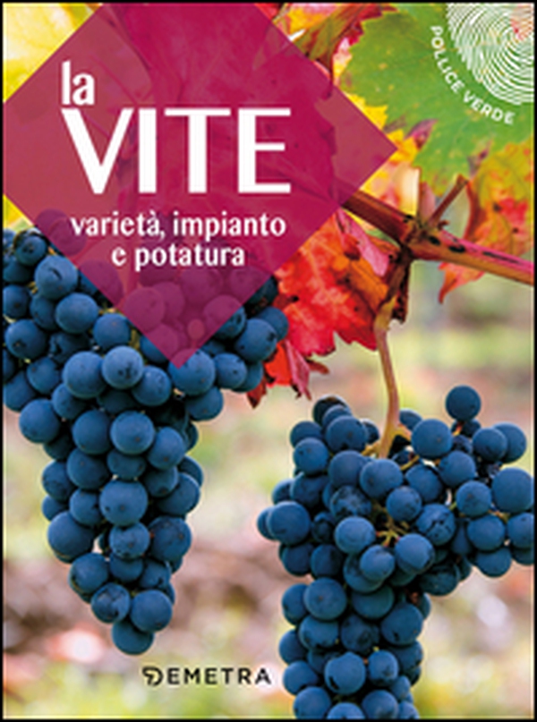 La vite. Varietà, impianto e potatura - Librerie.coop La vite. Varietà, impianto e potatura - Librerie.coop