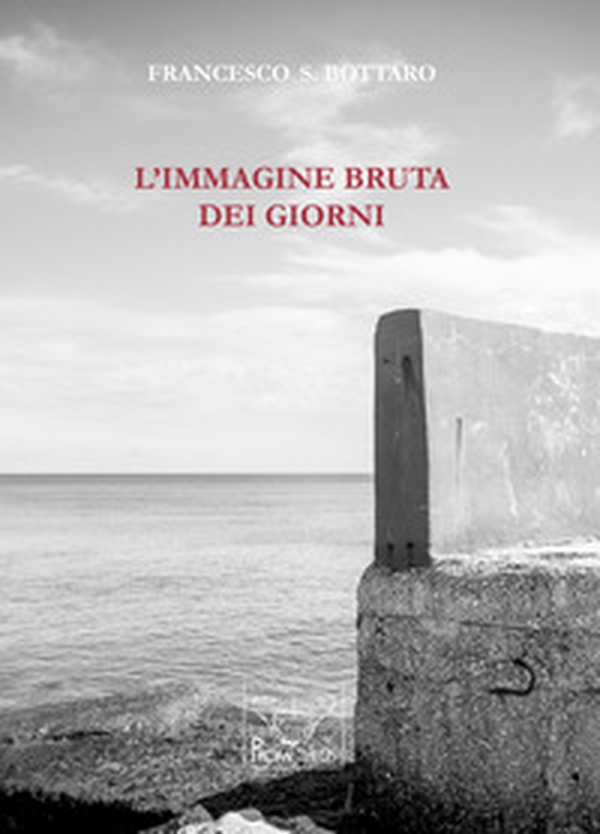 L'immagine bruta dei giorni - Librerie.coop L'immagine bruta dei giorni - Librerie.coop