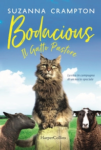 Bodacious. Il gatto pastore - Librerie.coop