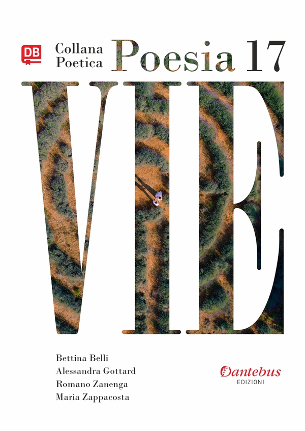 Collana Poetica Vie vol.17 - Librerie.coop Collana Poetica Vie vol.17 - Librerie.coop