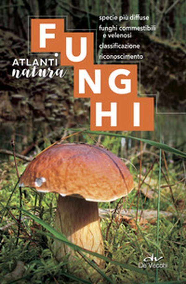 Funghi. Specie più diffuse, funghi commestibili e velenosi, classificazione, riconoscimento - Librerie.coop Funghi. Specie più diffuse, funghi commestibili e velenosi, classificazione, riconoscimento - Librerie.coop