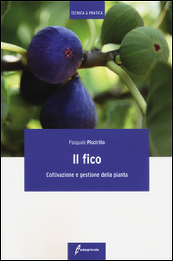 Il fico. Coltivazione e gestione della pianta - Librerie.coop Il fico. Coltivazione e gestione della pianta - Librerie.coop