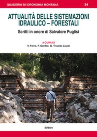 Attualità delle sistemazioni idraulico-forestali. Scritti in onore di Salvatore Puglisi - Librerie.coop