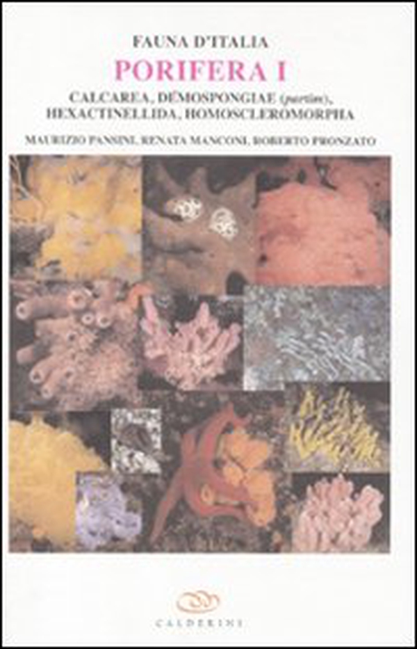 Porifera I. Calcarea, demospongiae (partim), hexactinellida, homoscleromorpha. Ediz. inglese - Librerie.coop Porifera I. Calcarea, demospongiae (partim), hexactinellida, homoscleromorpha. Ediz. inglese - Librerie.coop