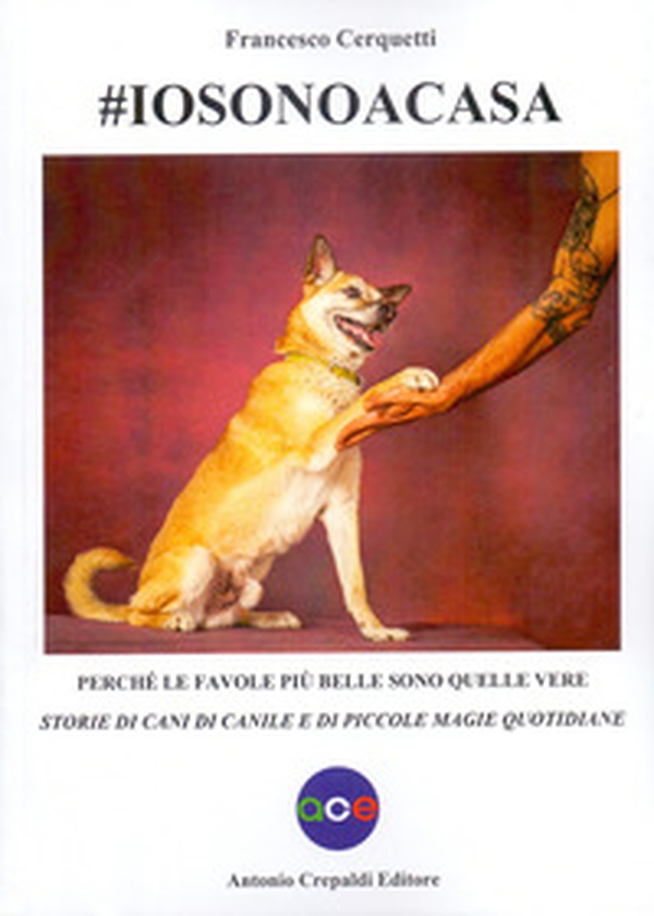 #iosonoacasa. Perché le favole più belle sono quelle vere. Storie di cani di canile e di piccole magie quotidiane - Librerie.coop #iosonoacasa. Perché le favole più belle sono quelle vere. Storie di cani di canile e di piccole magie quotidiane - Librerie.coop