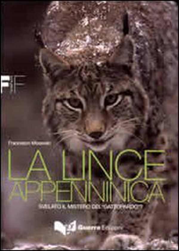 La lince appenninica. Svelato il mistero del «Gattopardo»? - Librerie.coop La lince appenninica. Svelato il mistero del «Gattopardo»? - Librerie.coop