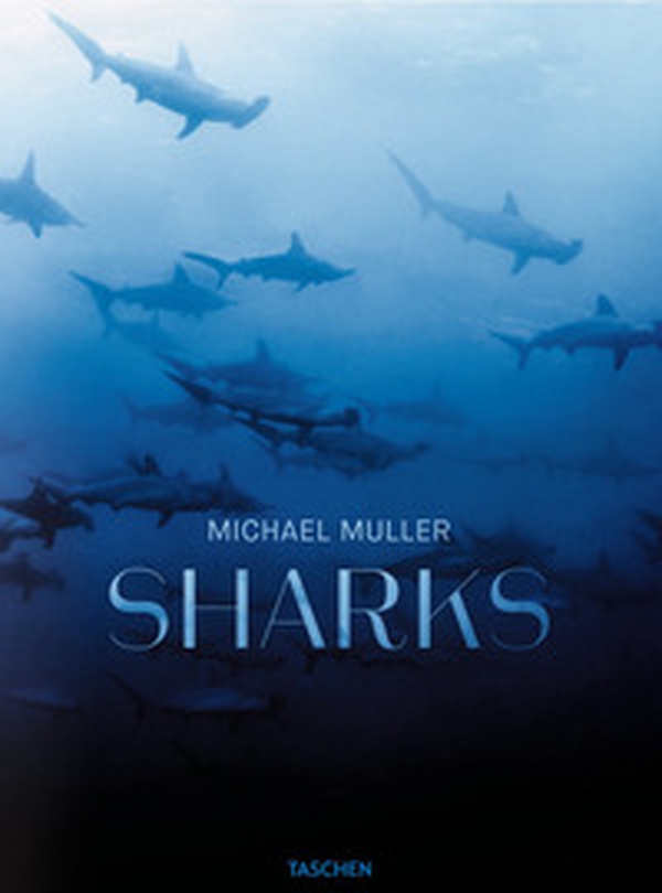 Michael Muller. Sharks. Ediz. inglese - Librerie.coop Michael Muller. Sharks. Ediz. inglese - Librerie.coop
