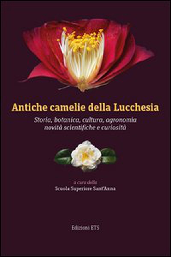 Antiche camelie della Lucchesia. Storia, botanica, cultura, agronomia, novità scientifiche e curiosità - Librerie.coop Antiche camelie della Lucchesia. Storia, botanica, cultura, agronomia, novità scientifiche e curiosità - Librerie.coop