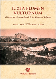 Iuxta flumen vulturnum. Gli scavi lungo il fronte fluviale di San Vincenzo al Volturno - Librerie.coop