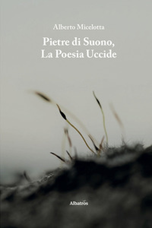 Pietre di suono, la poesia uccide - Librerie.coop Pietre di suono, la poesia uccide - Librerie.coop