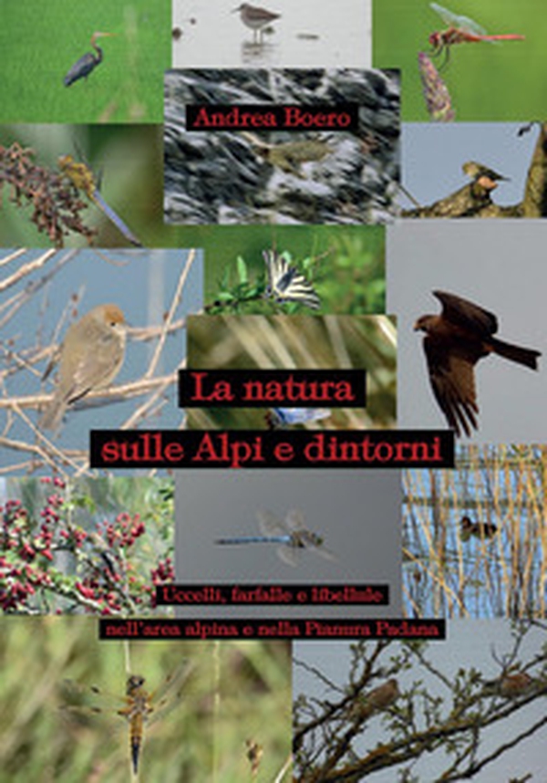 La natura sulle Alpi e dintorni - Librerie.coop La natura sulle Alpi e dintorni - Librerie.coop