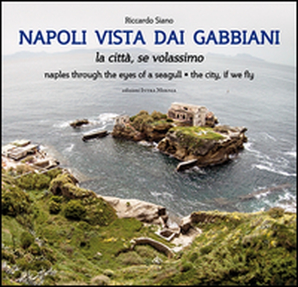 Napoli vista dai gabbiani. La città se volassimo - Librerie.coop Napoli vista dai gabbiani. La città se volassimo - Librerie.coop