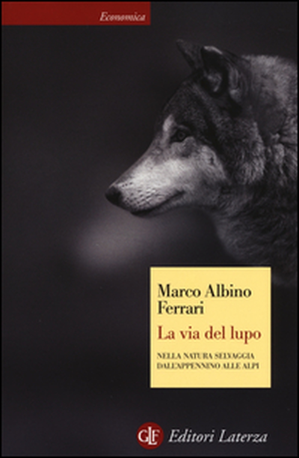 La via del lupo. Nella natura selvaggia dall'Appennino alle Alpi - Librerie.coop La via del lupo. Nella natura selvaggia dall'Appennino alle Alpi - Librerie.coop