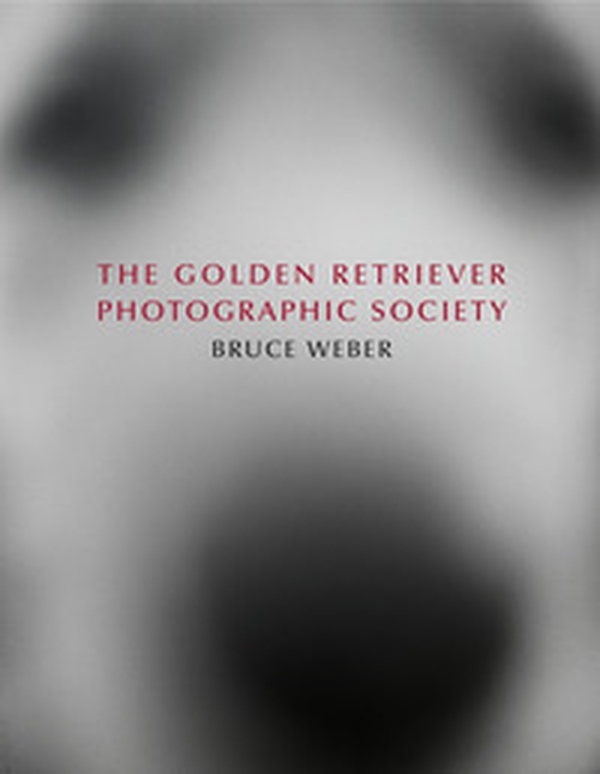 Bruce Weber. The golden retriever photographic society. Ediz. inglese, francese e tedesca - Librerie.coop Bruce Weber. The golden retriever photographic society. Ediz. inglese, francese e tedesca - Librerie.coop