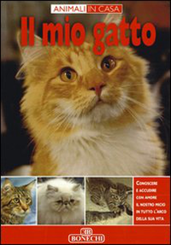 Il mio gatto. Ediz. italiana - Librerie.coop Il mio gatto. Ediz. italiana - Librerie.coop