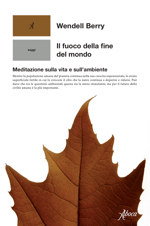 Il fuoco della fine del mondo - Librerie.coop Il fuoco della fine del mondo - Librerie.coop
