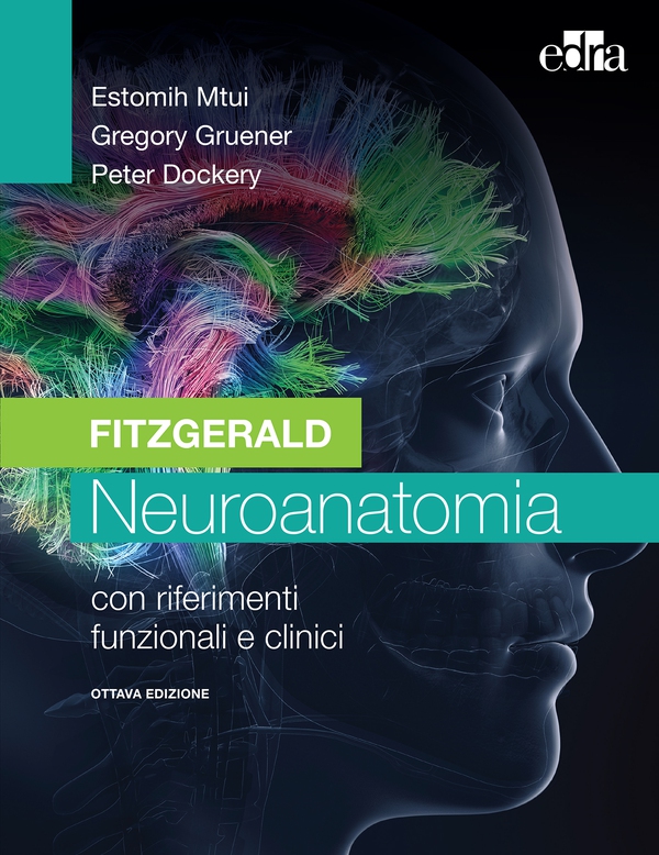 Fitzgerald - Neuroanatomia - Librerie.coop Fitzgerald - Neuroanatomia - Librerie.coop