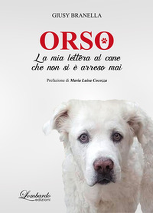 Orso. La mia lettera al cane che non si è arreso mai - Librerie.coop Orso. La mia lettera al cane che non si è arreso mai - Librerie.coop