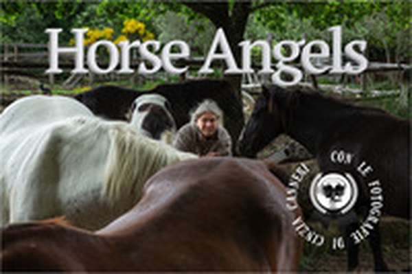 Horse Angels - Librerie.coop Horse Angels - Librerie.coop