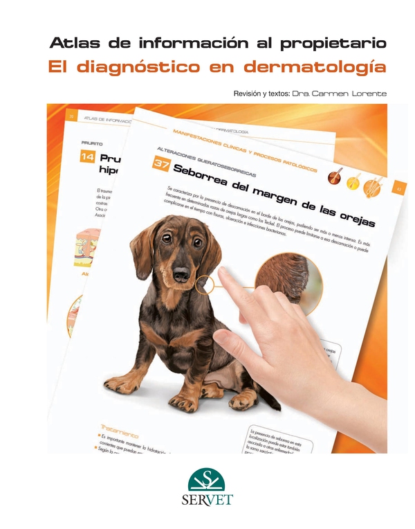 Atlas de información al propietario. El diagnóstico en dermatología - Librerie.coop Atlas de información al propietario. El diagnóstico en dermatología - Librerie.coop