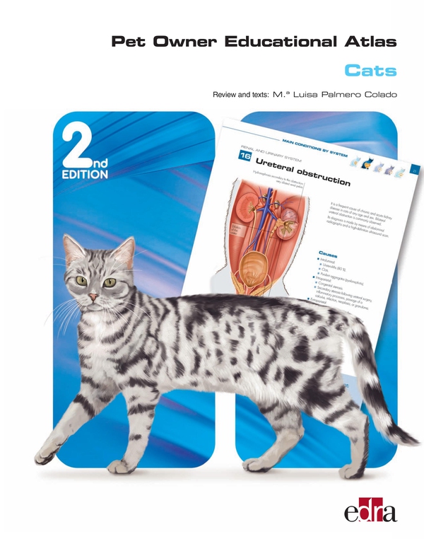 Pet Owner Educational Atlas: Cats (2nd edition) - Librerie.coop Pet Owner Educational Atlas: Cats (2nd edition) - Librerie.coop