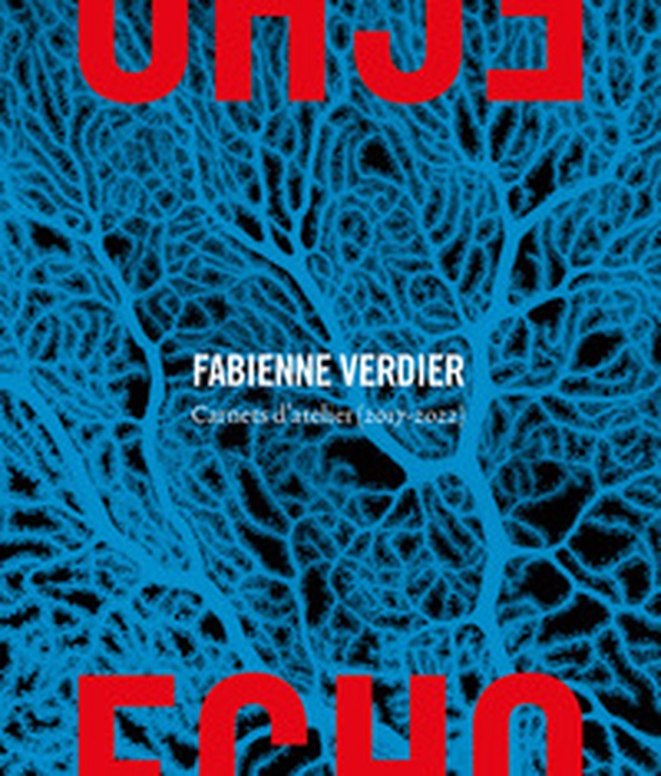 Echo. Carnets d'atelier (2017-2022) - Librerie.coop Echo. Carnets d'atelier (2017-2022) - Librerie.coop