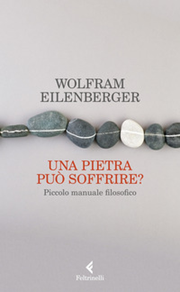 Una pietra può soffrire? Piccolo manuale filosofico - Librerie.coop Una pietra può soffrire? Piccolo manuale filosofico - Librerie.coop