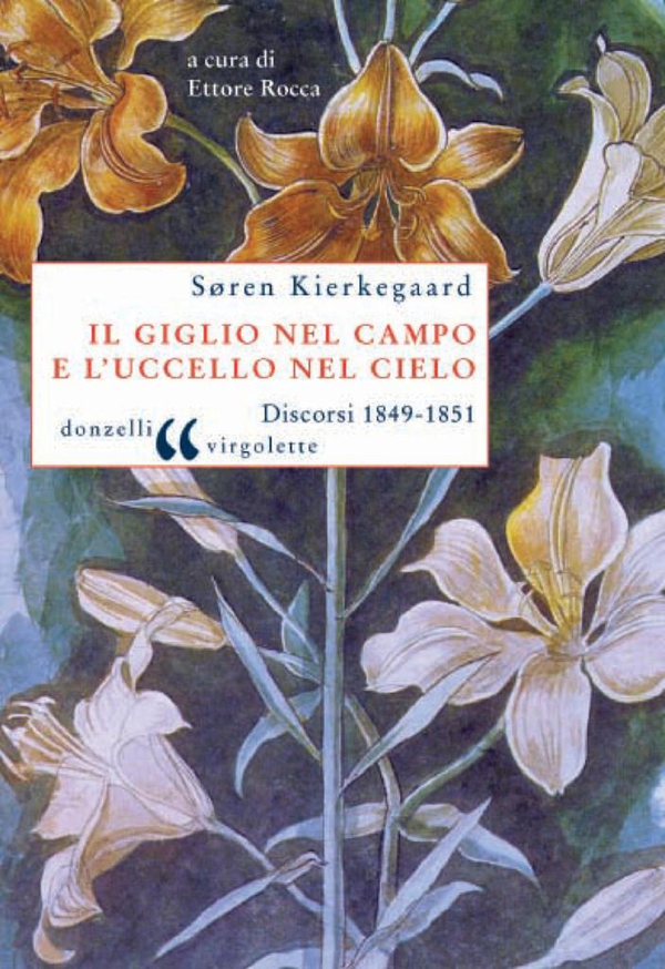 Il giglio nel campo e l'uccello nel cielo - Librerie.coop Il giglio nel campo e l'uccello nel cielo - Librerie.coop