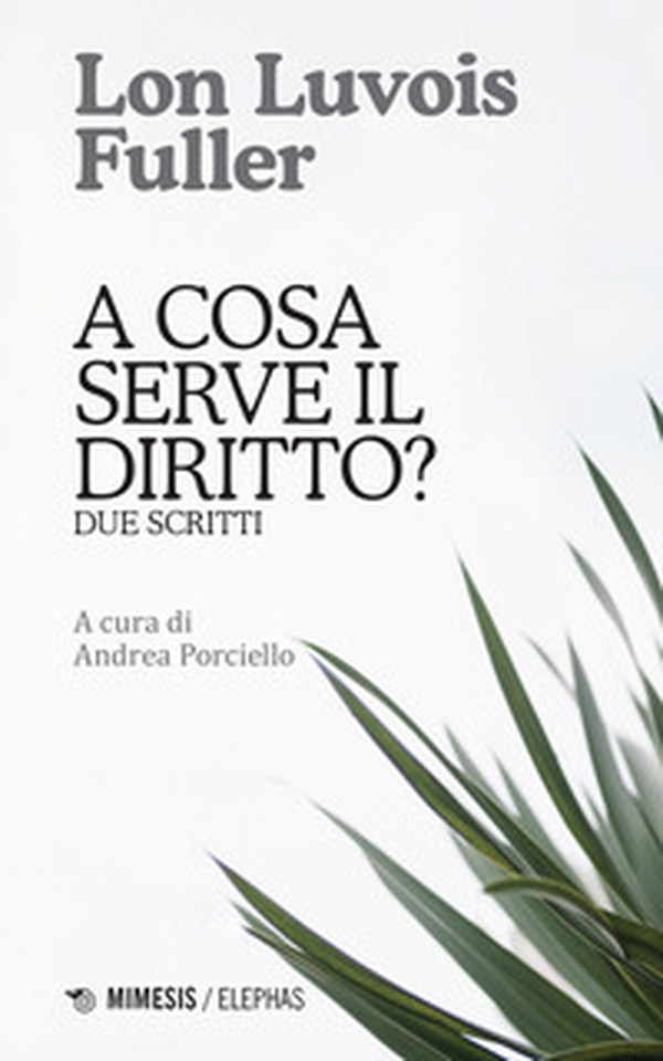 A cosa serve il diritto? Due scritti - Librerie.coop A cosa serve il diritto? Due scritti - Librerie.coop